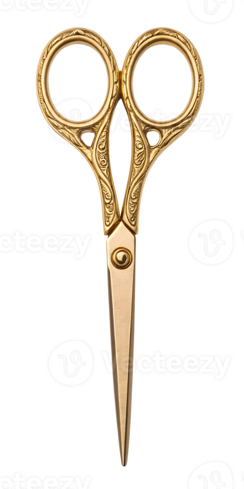 old rusty scissors png