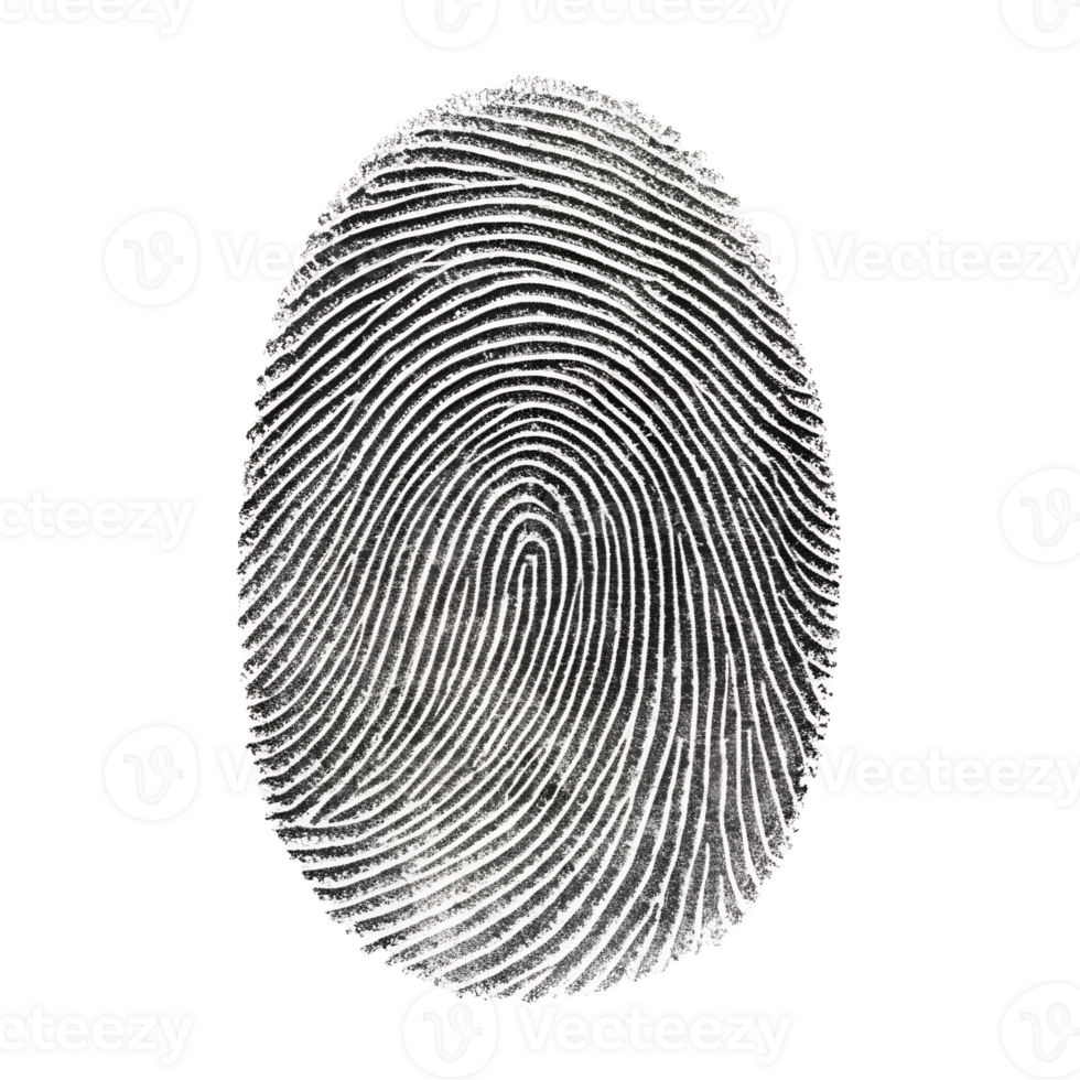 A high-resolution close-up photograph of a fingerprint, showcasing the intricate details of the whorls and ridges png