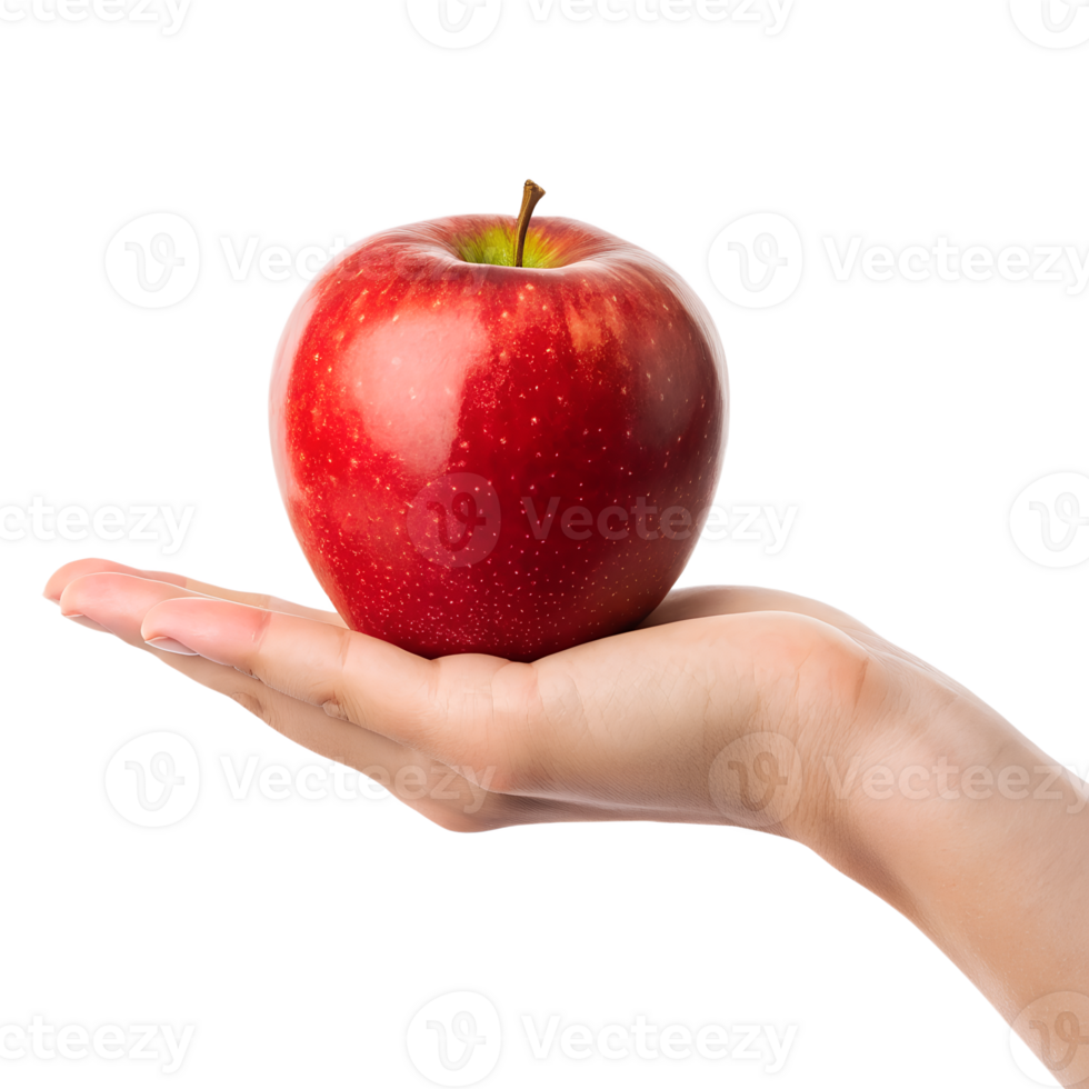 Red Apple in Hand A close-up shot features a vibrant, ripe red apple being held delicately in the palm of a hand png