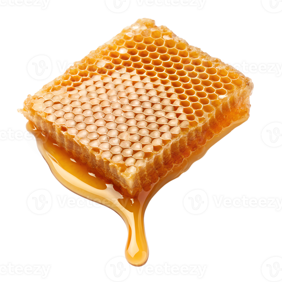 Golden honeycomb dripping with sweet honey, a symbol of nature's sweetness and wholesome goodness, png