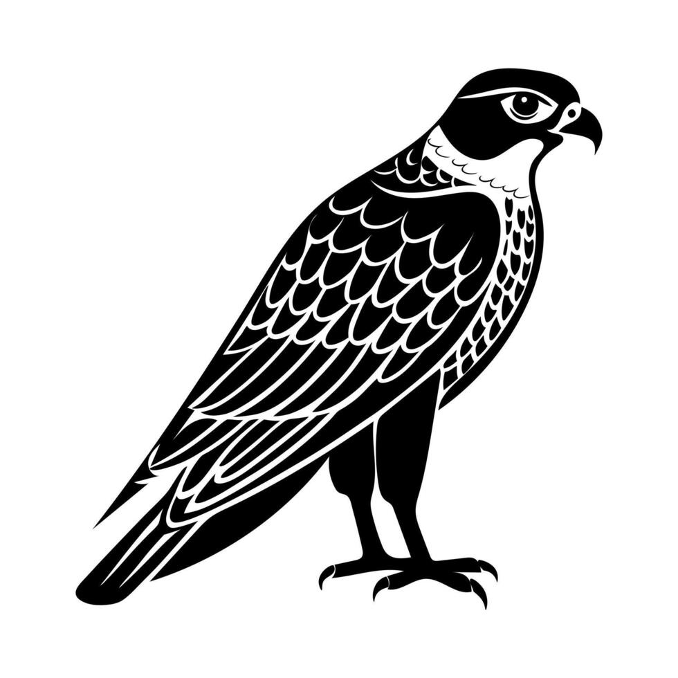 Eagle illustration Eagle Illustration Set, Black and White Silhouettes vector