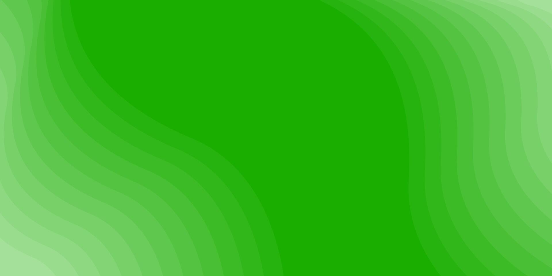 Green background with wavy lines vector