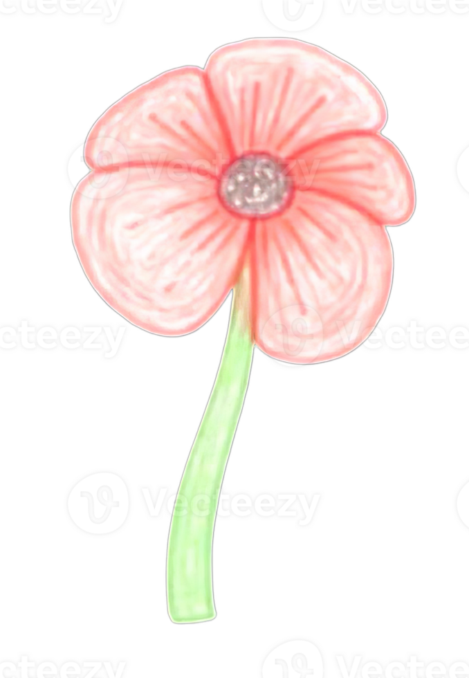 Drawing of a Pink Flower with a Green Stem on a Transparent Background png
