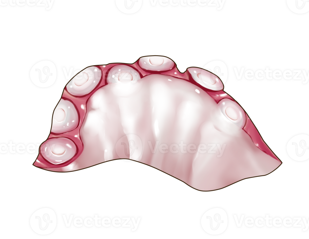 Semi real illustration of raw sliced octopus tentacle tako sashimi one piece png
