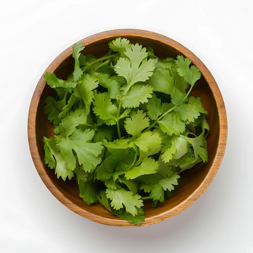 fresh green Parsley Vegetable on a white surface photo