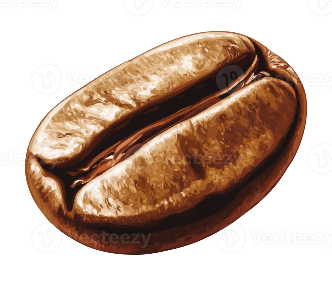 Illustration of one coffee bean isolated on transparent background png
