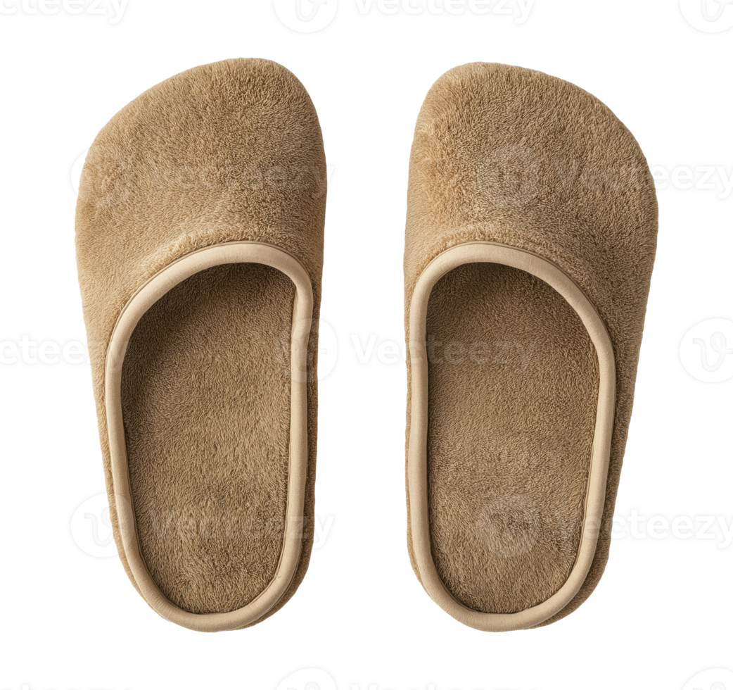 Soft home slippers isolated on transparent background png