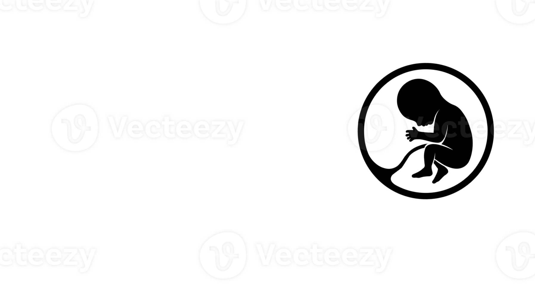 Human embryo on transparent background. Pregnancy icon. Medical genetics sign. Obstetrics symbol. In vitro fertilization. Copy space. png