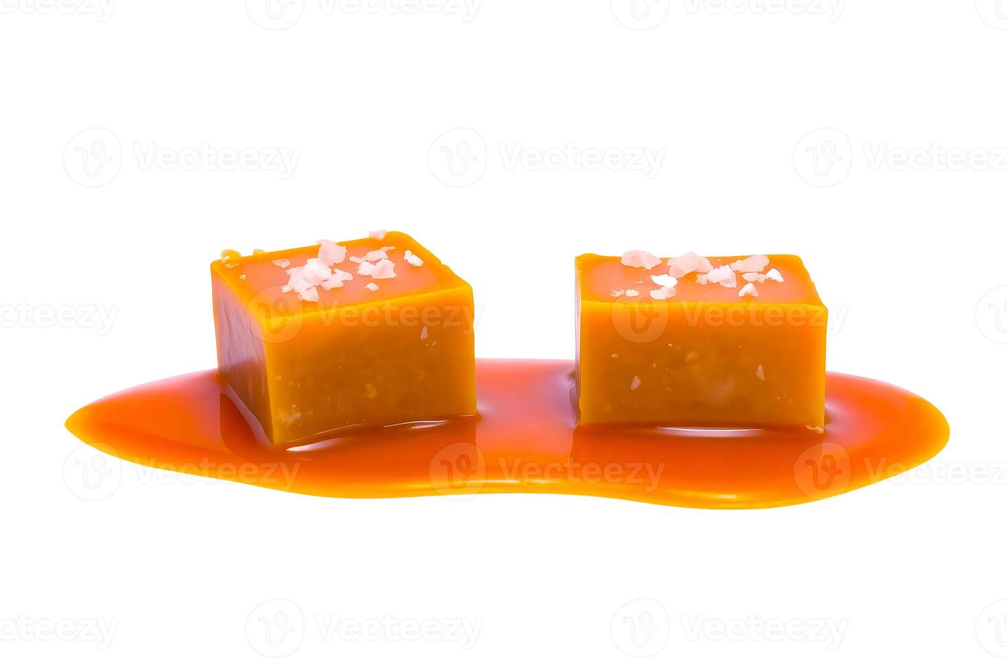 Creamy caramel fudge topped with coarse sea salt crystals showcasing dessert food candy photo