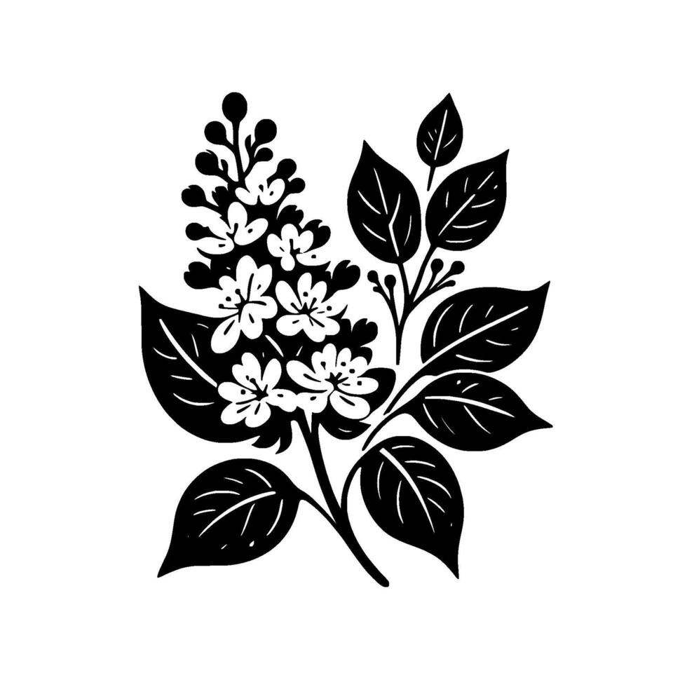 Black and White Lilac Silhouette , Floral Illustration vector
