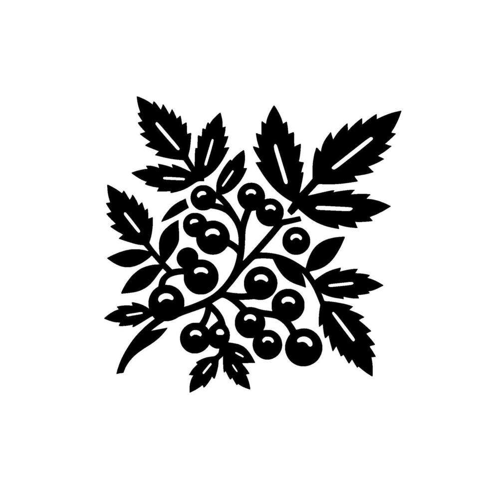 Black and white berries and leaves , minimalist botanical vector