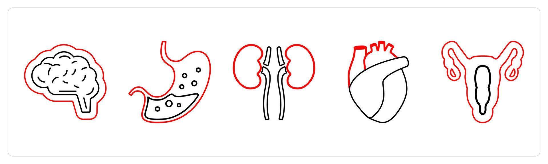 A set of 5 medical icons as neurosurgery, gastroneterology, pulmonology in red line color vector