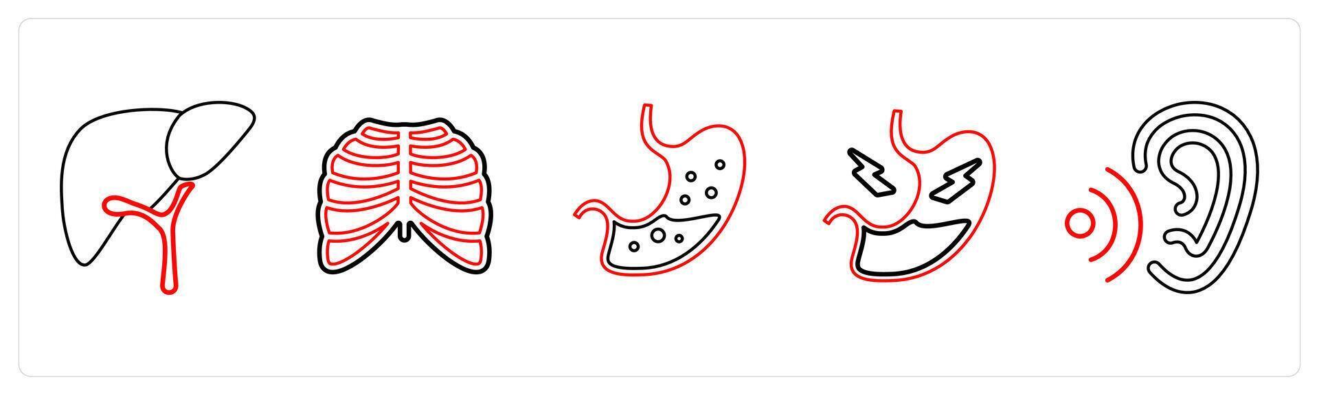 A set of 5 medical icons as hepatology, radiology, gastroenterology in red line color vector