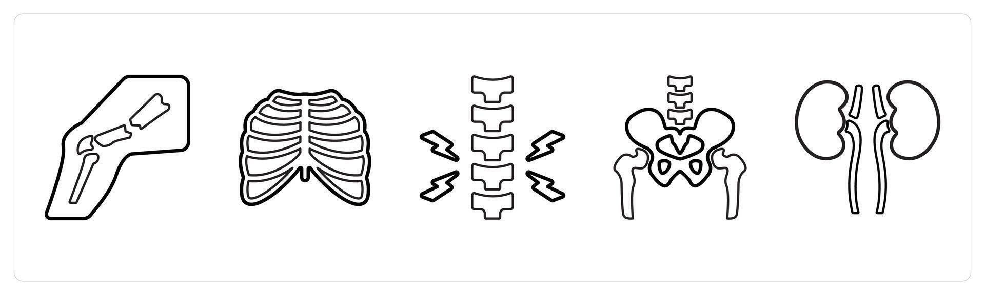 A set of 5 medical icons as broken leg, radiology, chiropratic in black line color vector