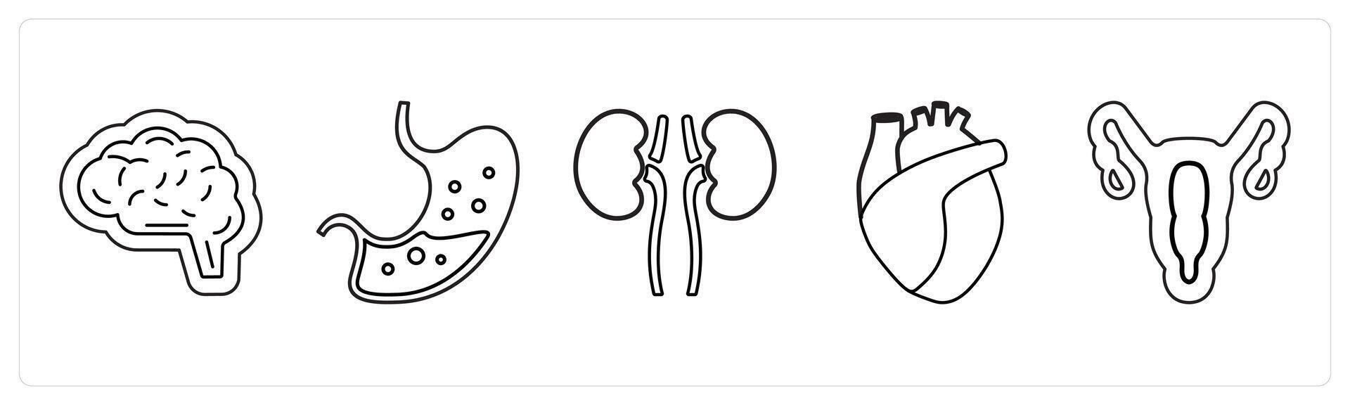 A set of 5 medical icons as neurosurgery, gastroneterology, pulmonology in black line color vector