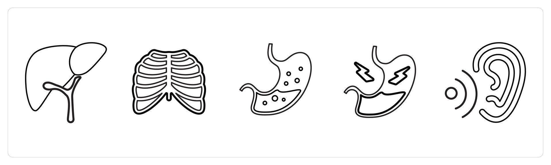 A set of 5 medical icons as hepatology, radiology, gastroenterology in black line color vector
