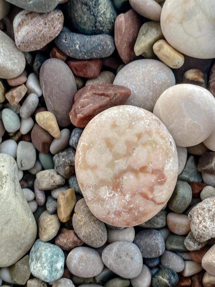 Close-up of beach pebbles with a large round pink stone in the center, surrounded by smooth and textured stones in natural earthy colors photo