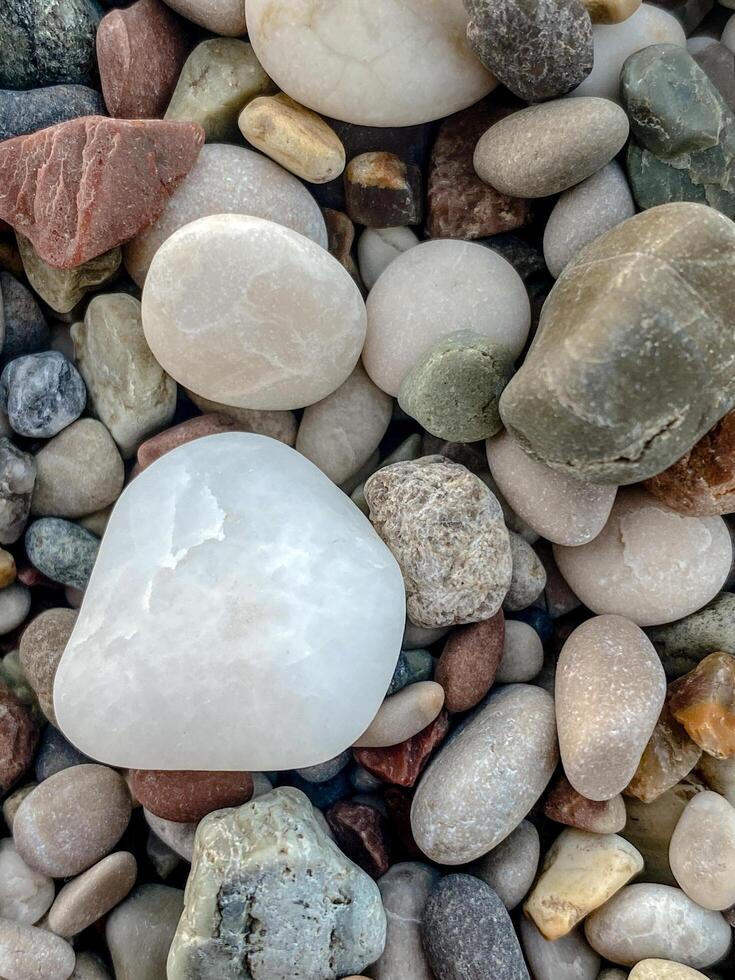 Macro photo of colorful smooth pebbles on a beach with one large white stone in focus. Natural daylight highlights texture and shape variation in the stones.