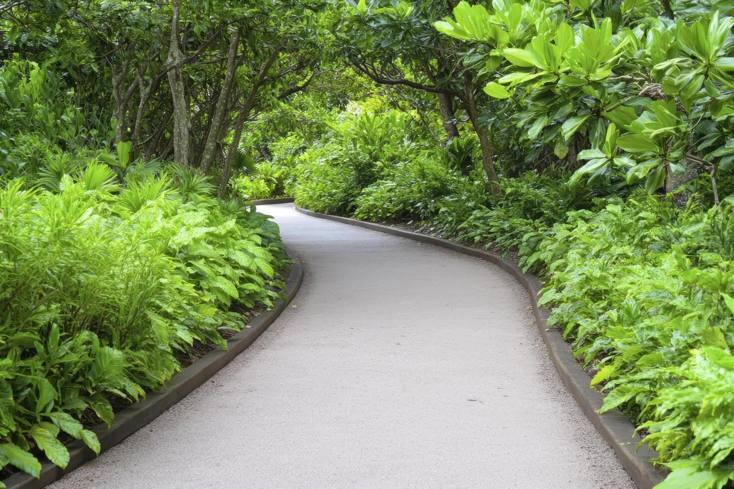 Curving Gravel Path Through Lush Green Garden photo