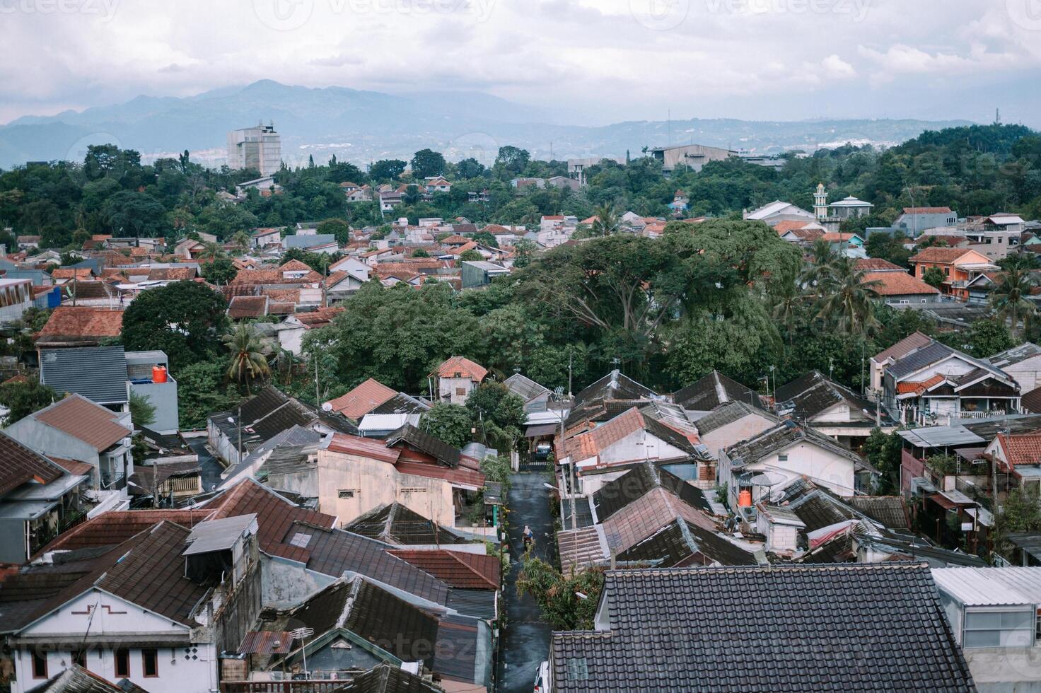 Residential area nestled among lush greenery with mountain backdrop photo