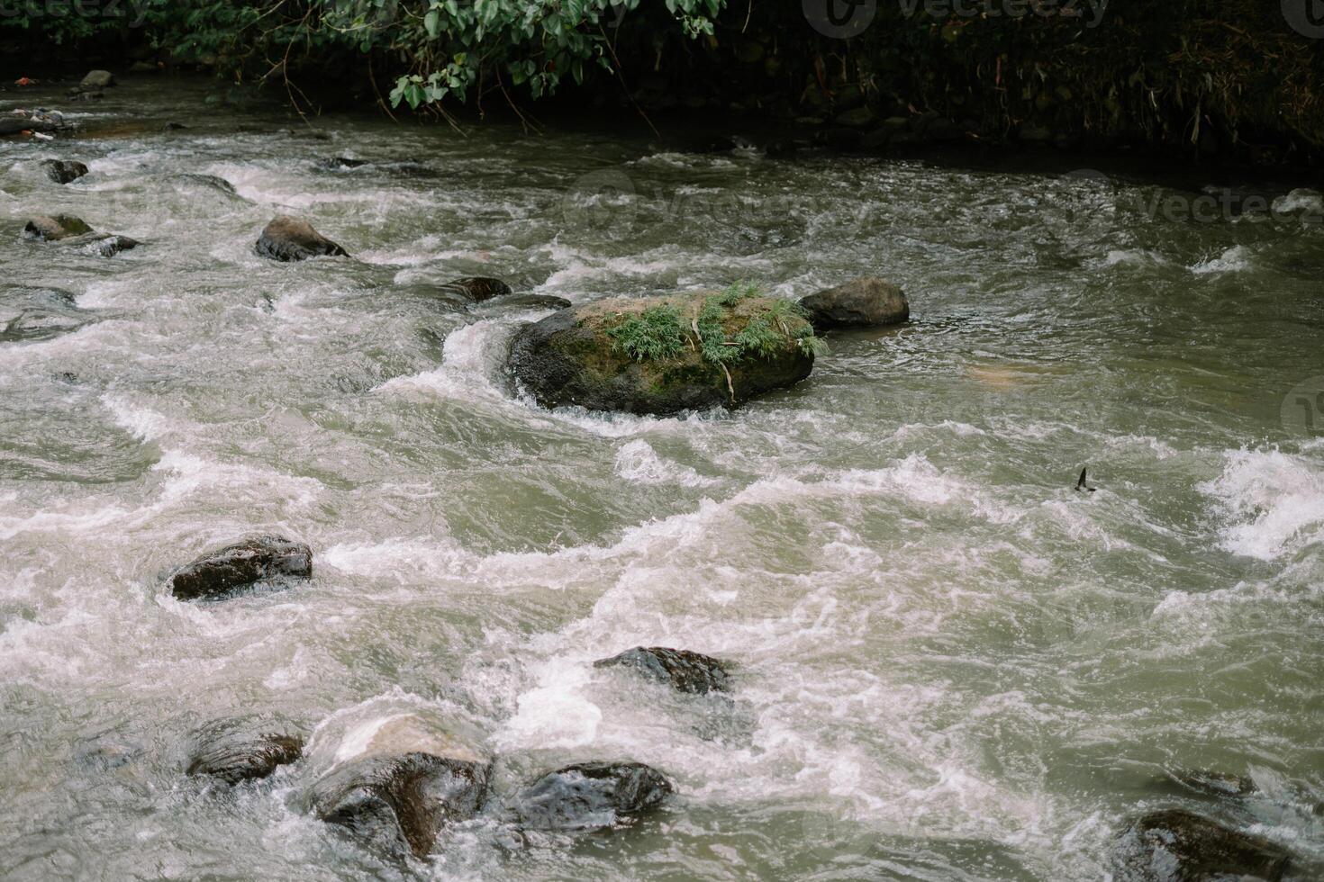 River rapids rush over mossy boulders, creating a dynamic waterscape photo
