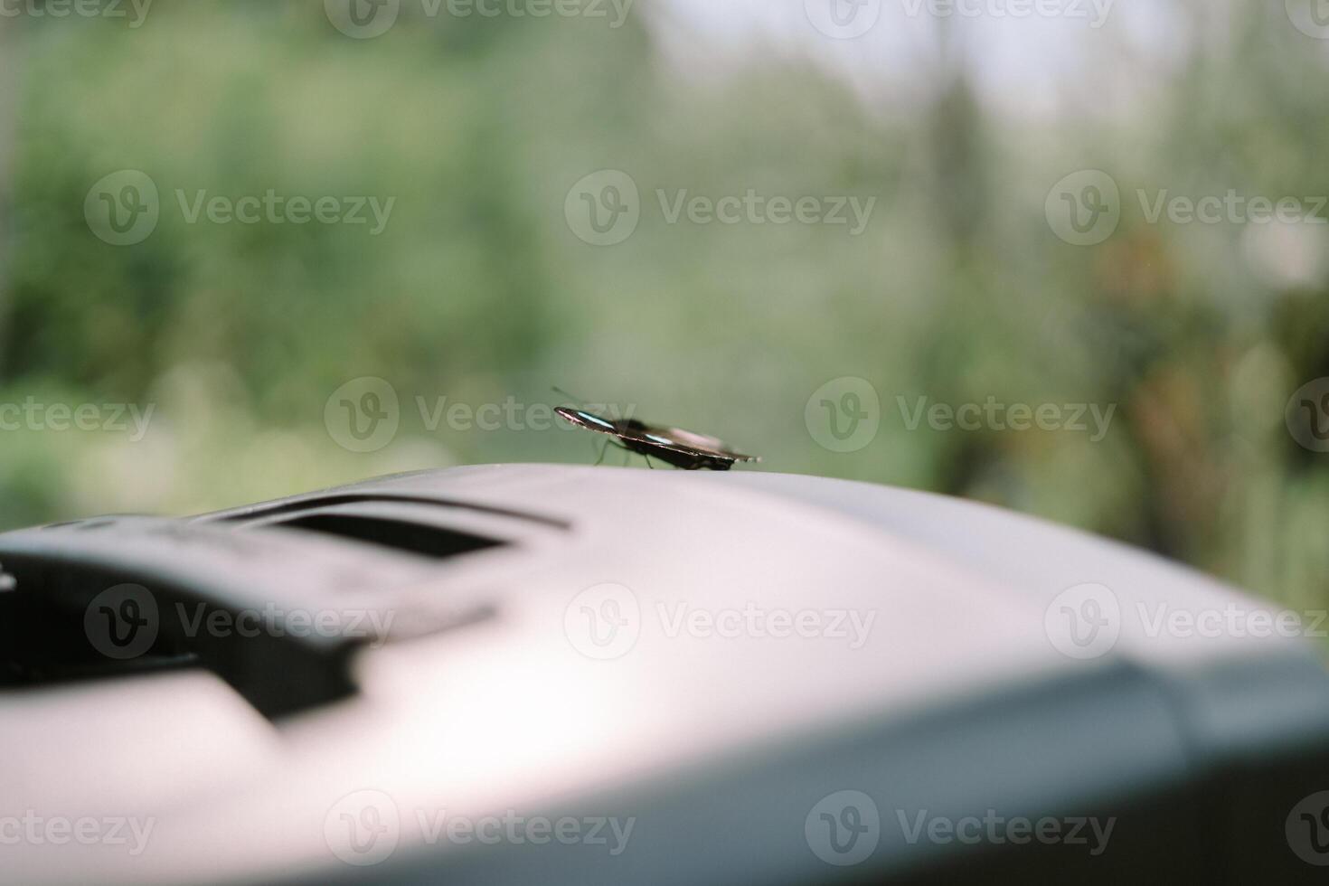 Delicate butterfly rests on modern outdoor equipment in nature scene photo