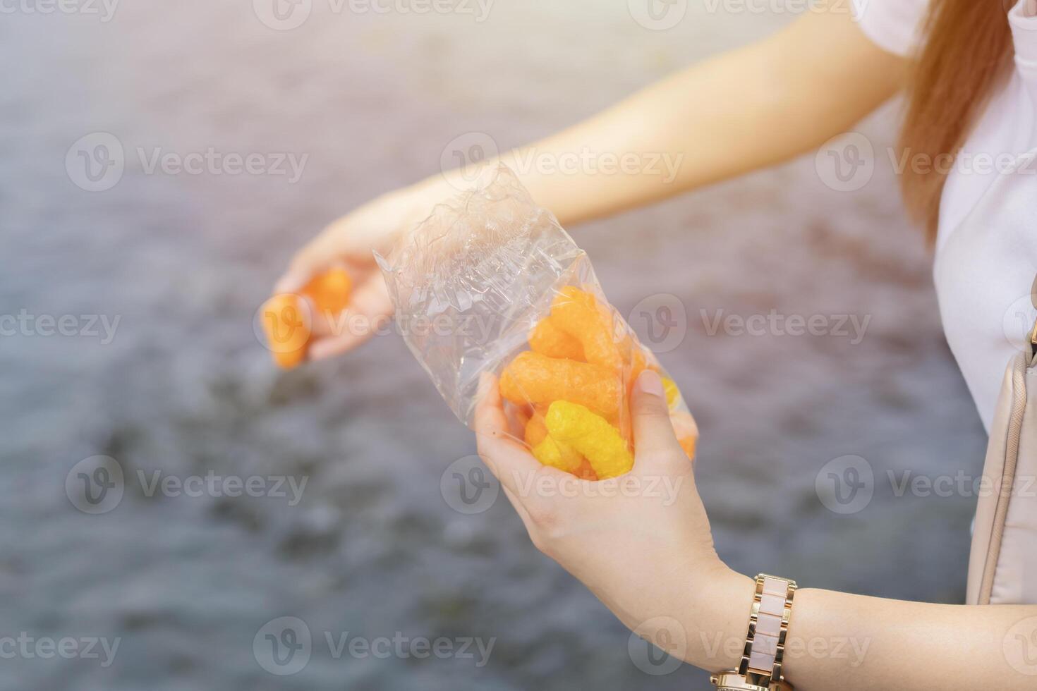 Feeding fish. Asian woman hands taking fish food and give to many fish in the river. photo