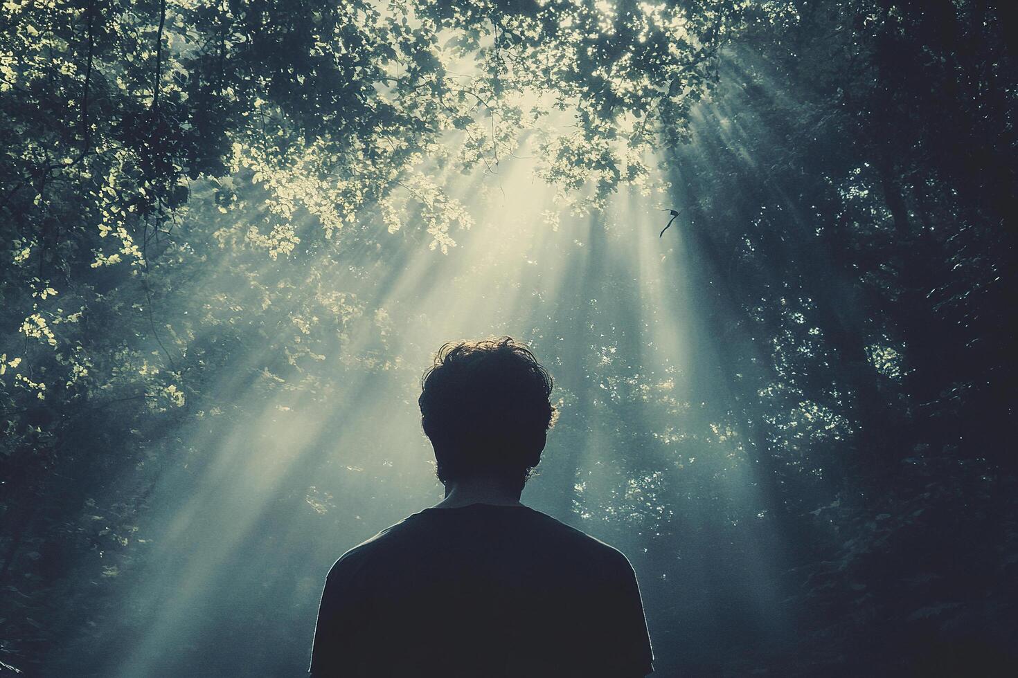 Man in the forest with sun rays lighting photo