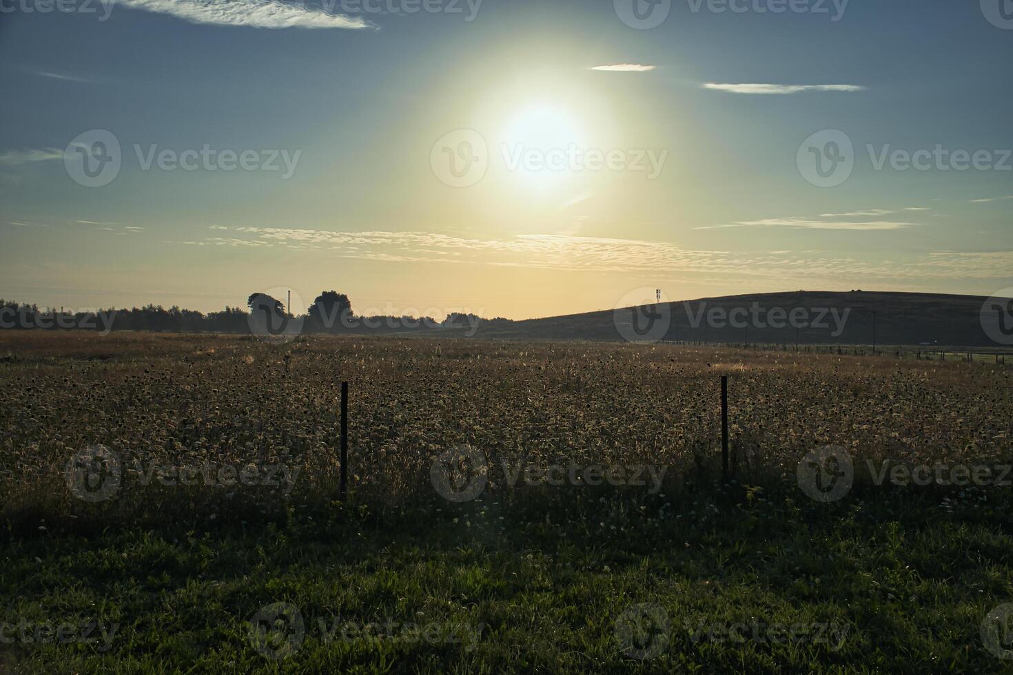 Sunset over a wide field with rolling hills in background photo