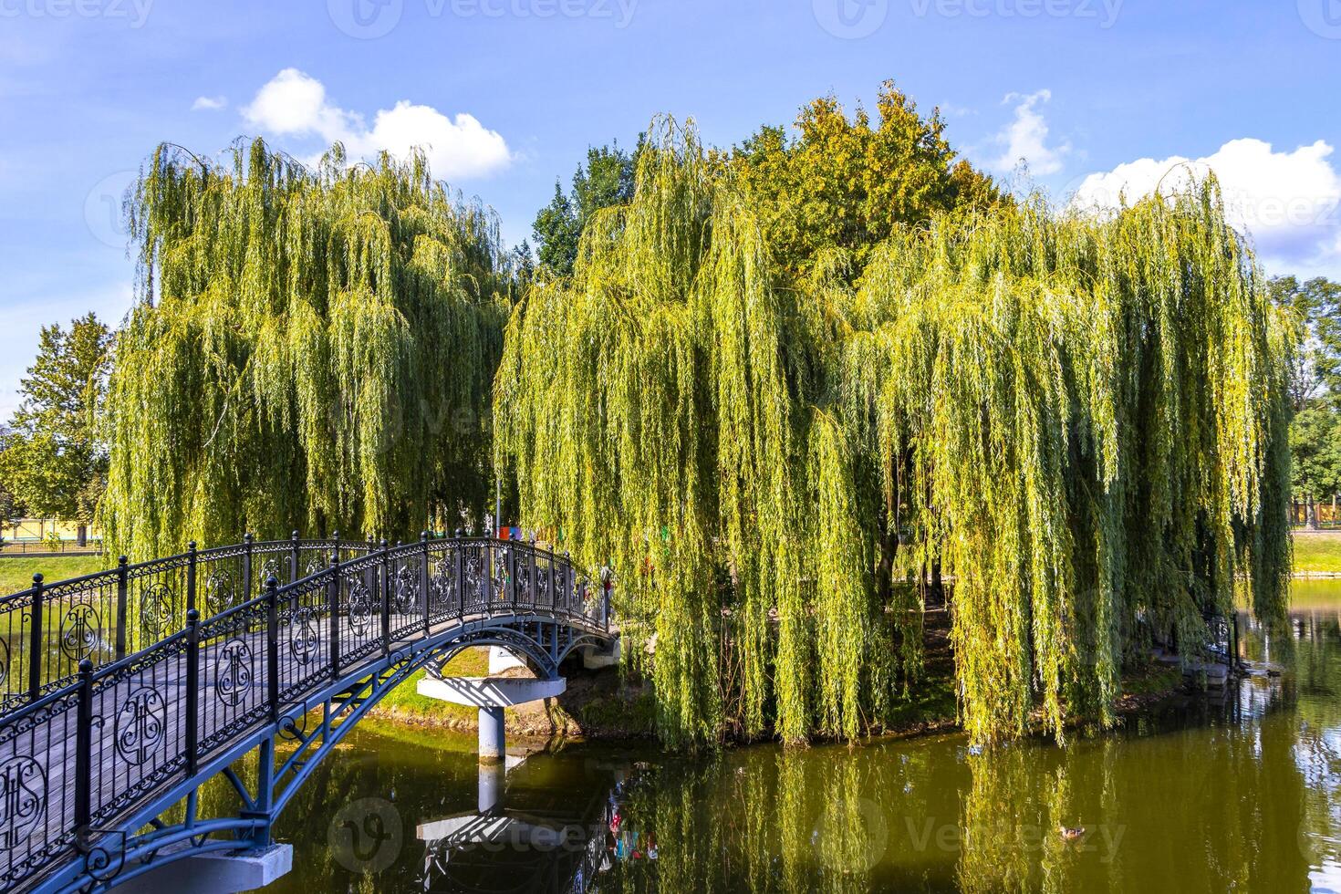 A bridge over a pond with a tree in the middle photo