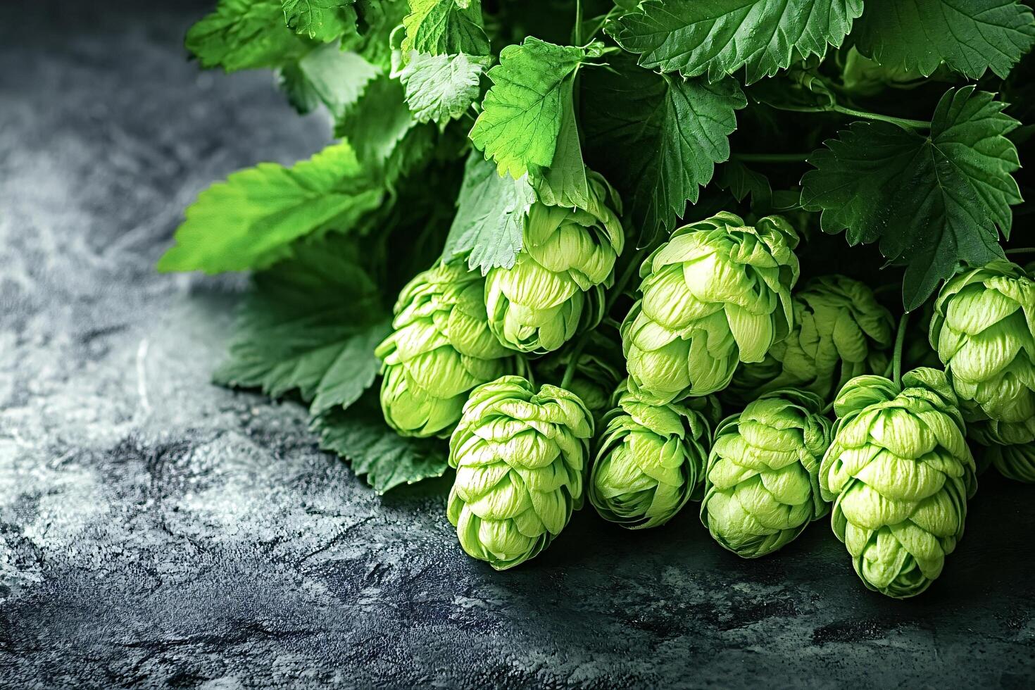 Fresh green hops branch lying on dark stone table photo