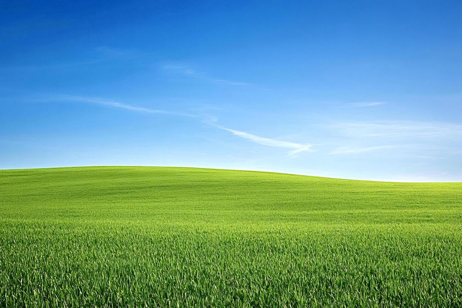 Green rolling hills stretching under a clear blue sky photo