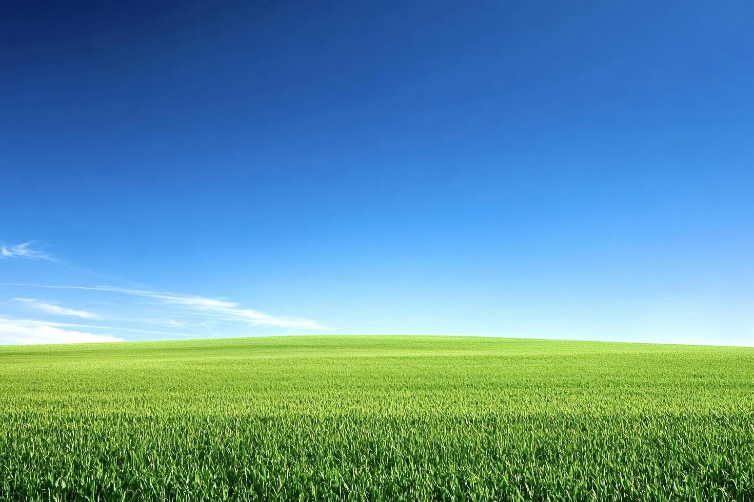 Green rolling hills stretching under a vast blue sky photo