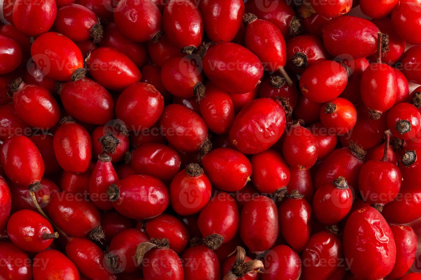 Tea made from ripe rosehip berries is rich in vitamins and is used as a tonic, full frame photo