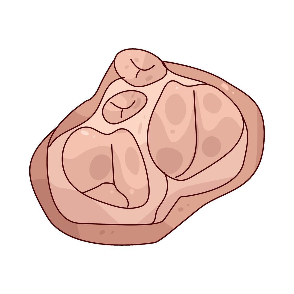 Illustration of a heart valve vector