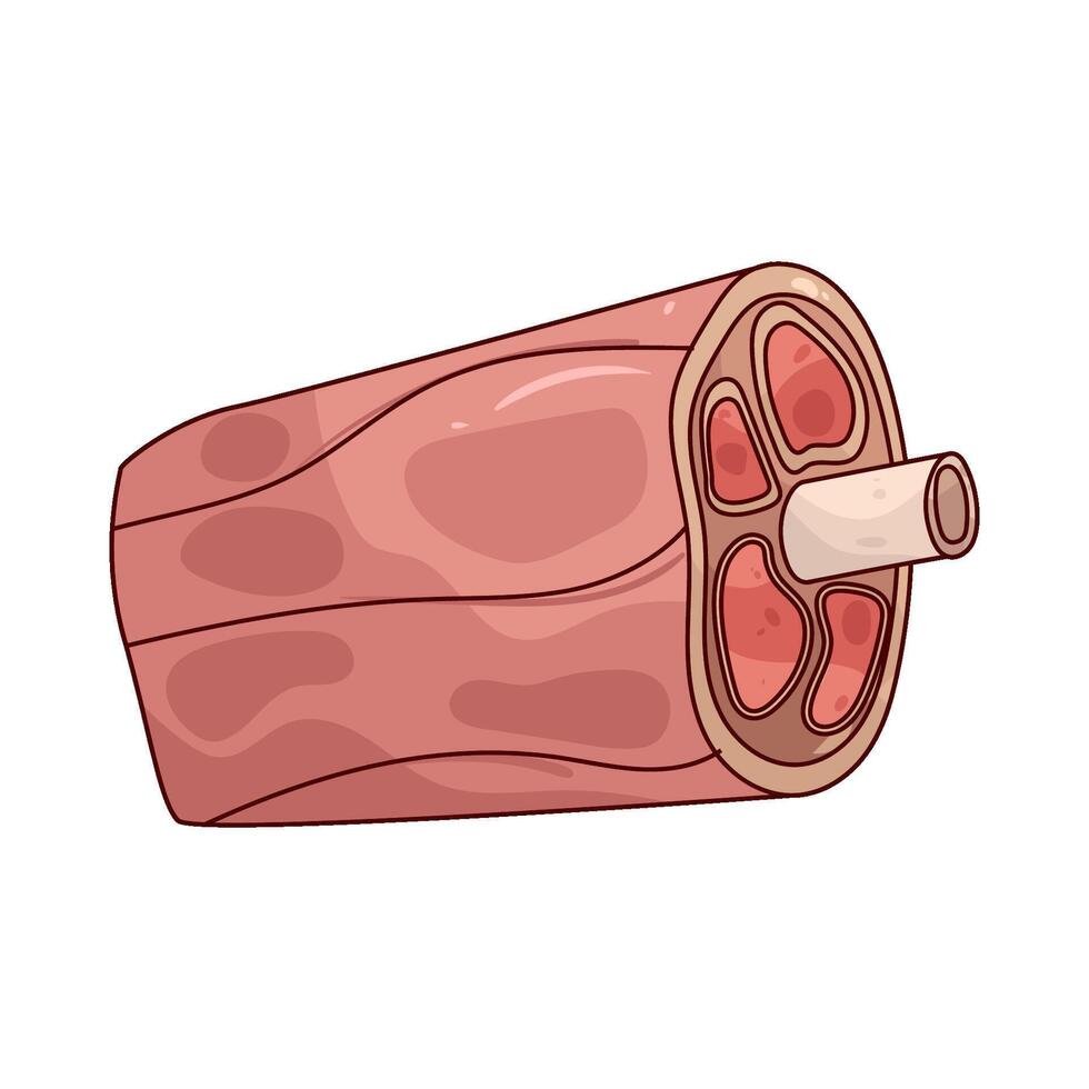 Illustration of a muscle fiber vector