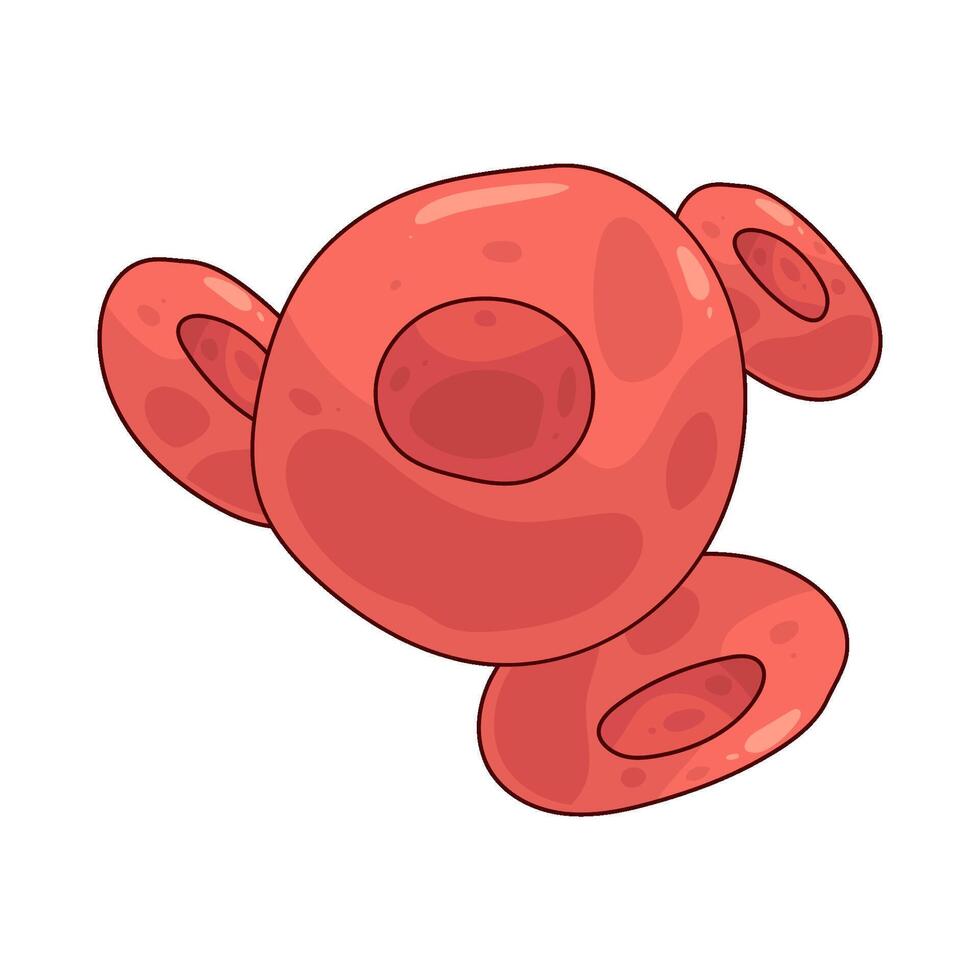 Illustration of a red blood cell vector