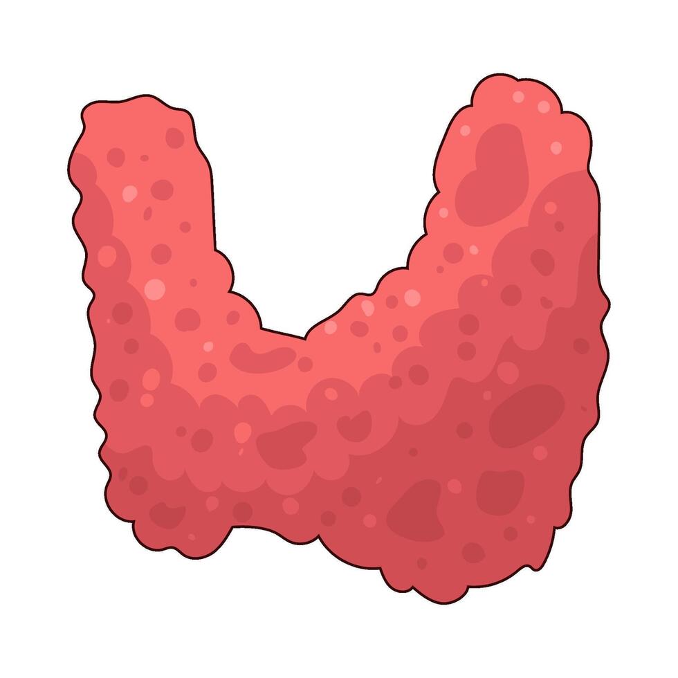 illustration of a thyroid vector