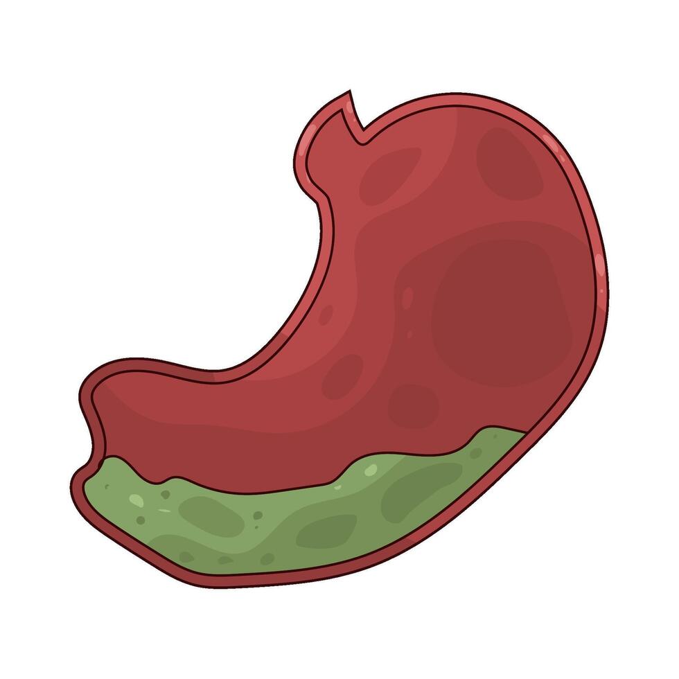 illustration of a gastric juice vector