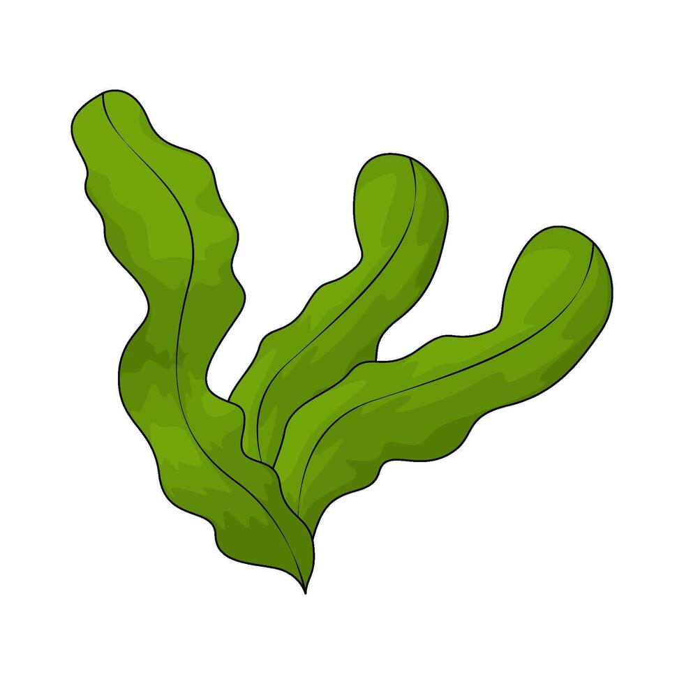 illustration of a green seaweed vector
