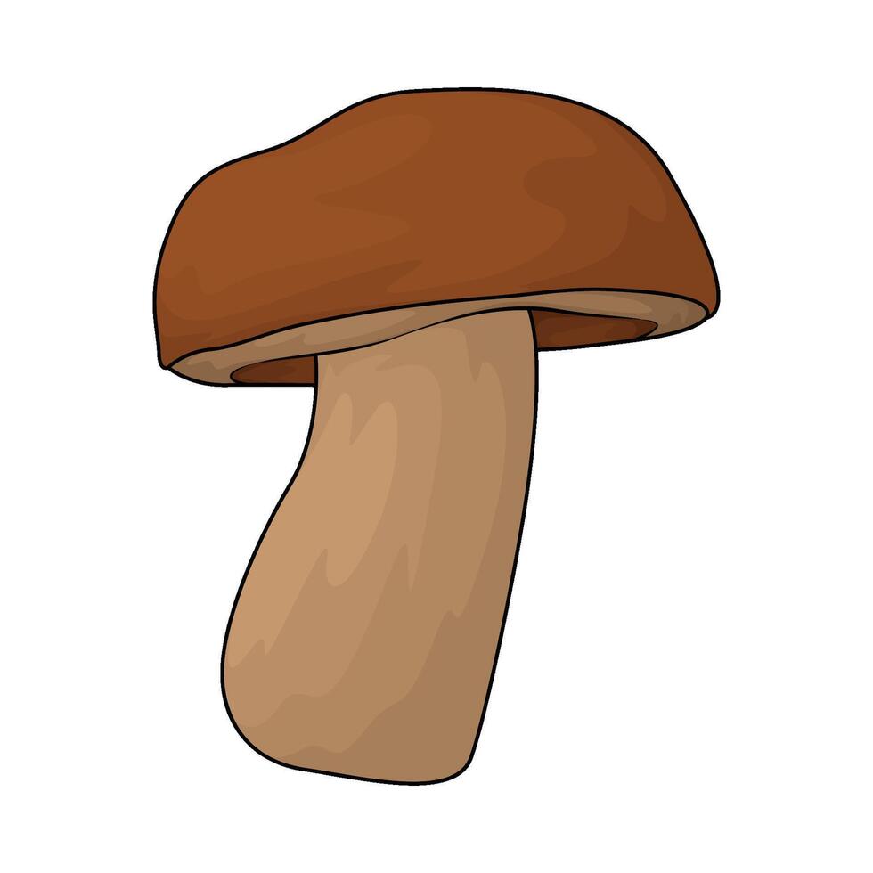 illustration of Nature mushroom vector