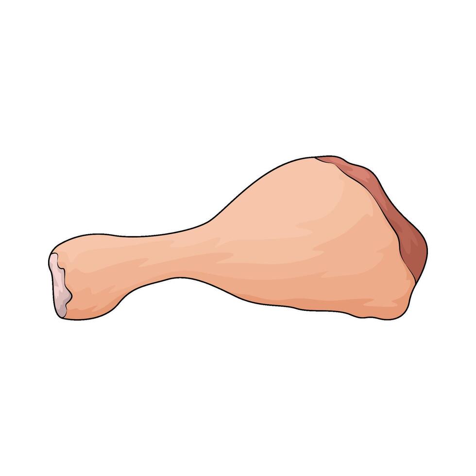 raw chicken drumsticks vector