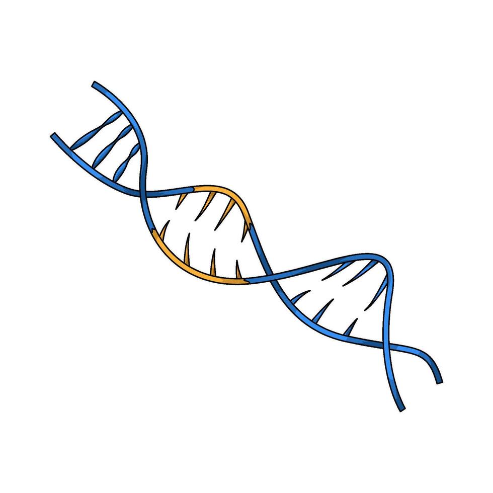 illustration of a dna strand vector