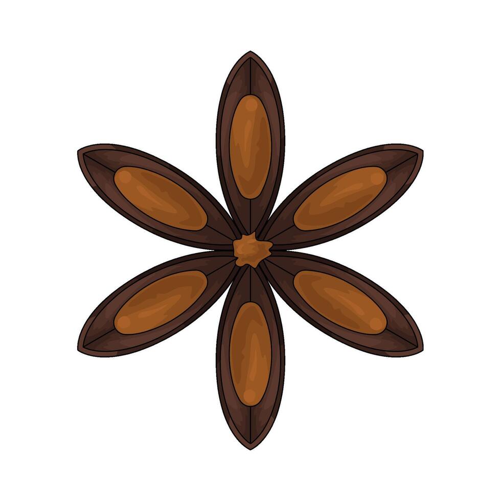 illustration of a anise seeds vector