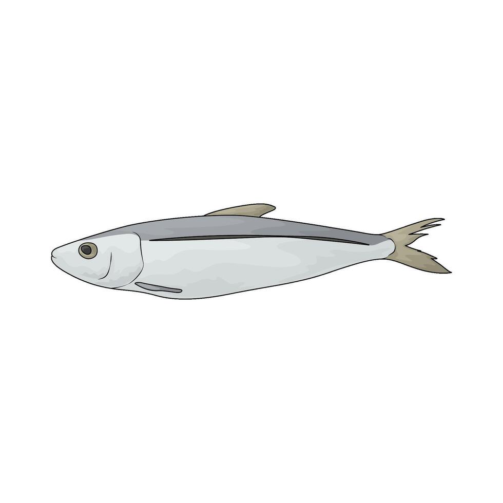illustration of a fresh fish vector