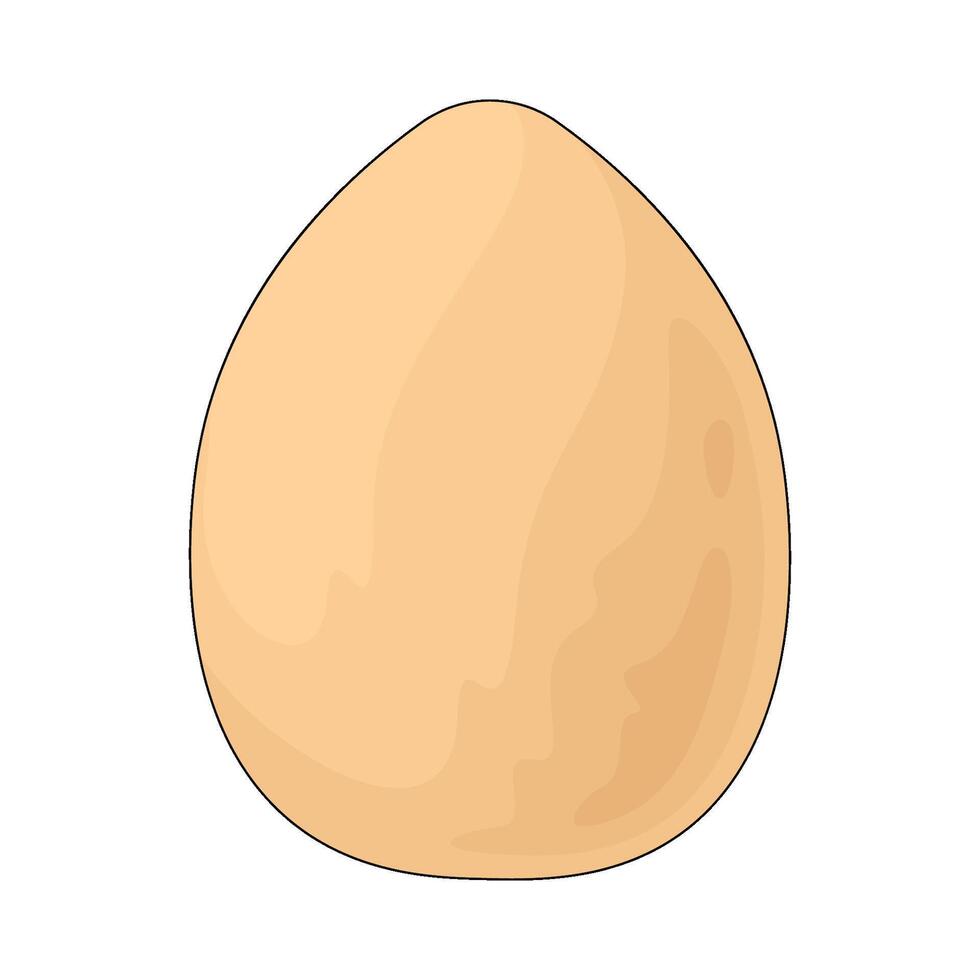 illustration of a fresh egg vector