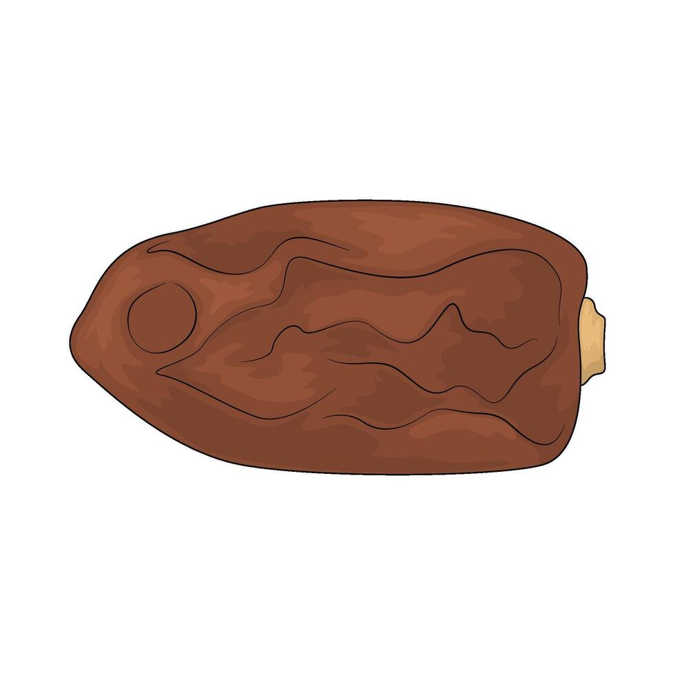 fresh dates fruit vector