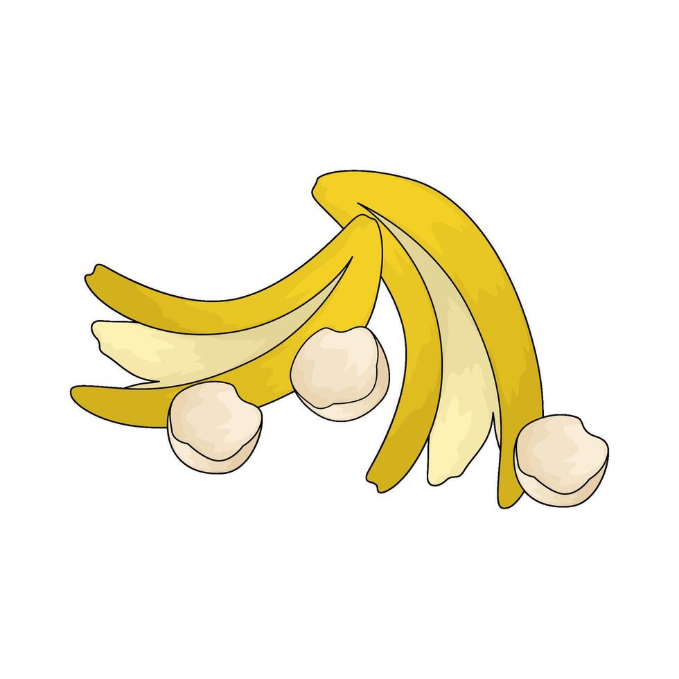 illustration of a banana peel vector