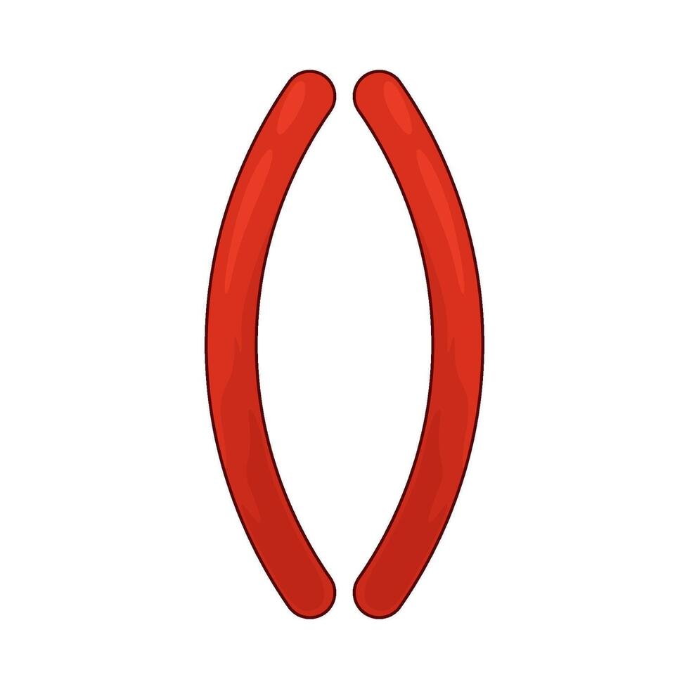 Math Symbol Parentheses vector