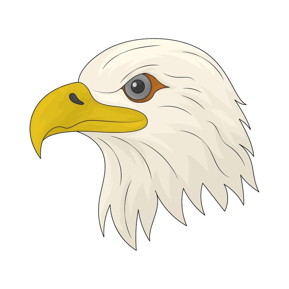 eagle head illustration vector